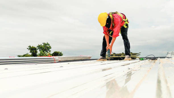 Best Rubber Roofing (EPDM, TPO)  in Shepherdsville, KY