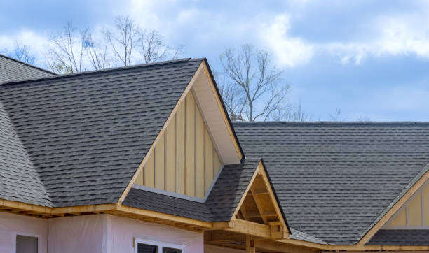 Best Roof Inspection  in Shepherdsville, KY